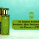 The Science Behind Aqua Perfumes How Perfumers Capture the Essence of Water