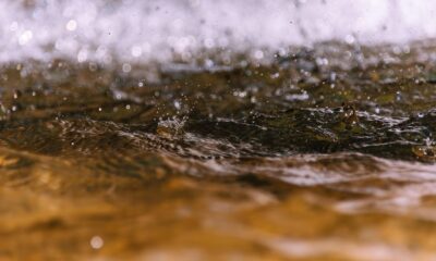 The Importance of Water Testing After Heavy Rain or Flooding