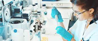 In Vitro ADME Assays: Techniques and Best Practices